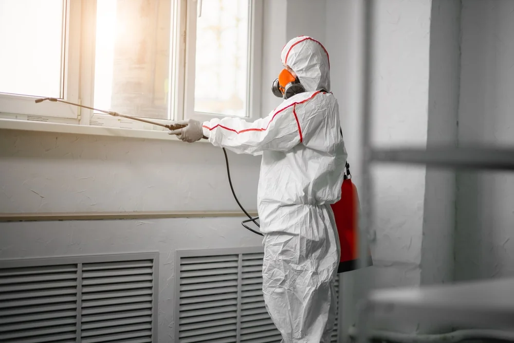 Professional mold remediation services in Kewadin, MI